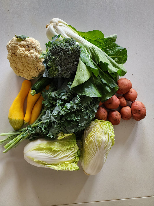 Veggie Box - Full Share